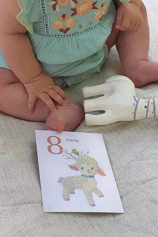 Cartes étapes bébé - set de 12 cartes - de 1 mois  à 1 an