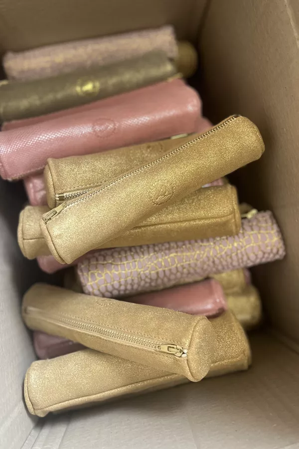 Trousse à crayons - Lézard rose