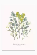 Set de 3 cartes postales - merci + anniv + to the moon