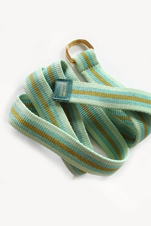 Ceinture sangle - vert & bleu