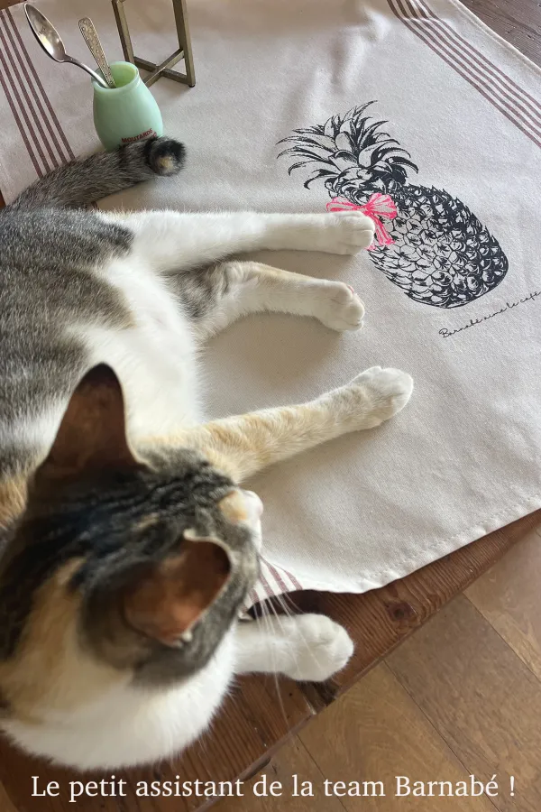 TORCHON DE CUISINE SÉRIGRAPHIÉ - Ananas